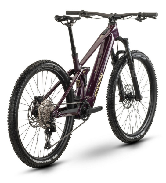 E-Bike Pedelec Raymon "Airok Comp" - floridplum/sulfur